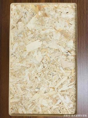 專家解讀，大咖坐鎮(zhèn)！曲美家居首發(fā)零甲醛添加原木結構板，加拿大OSB板革新家居環(huán)保標準